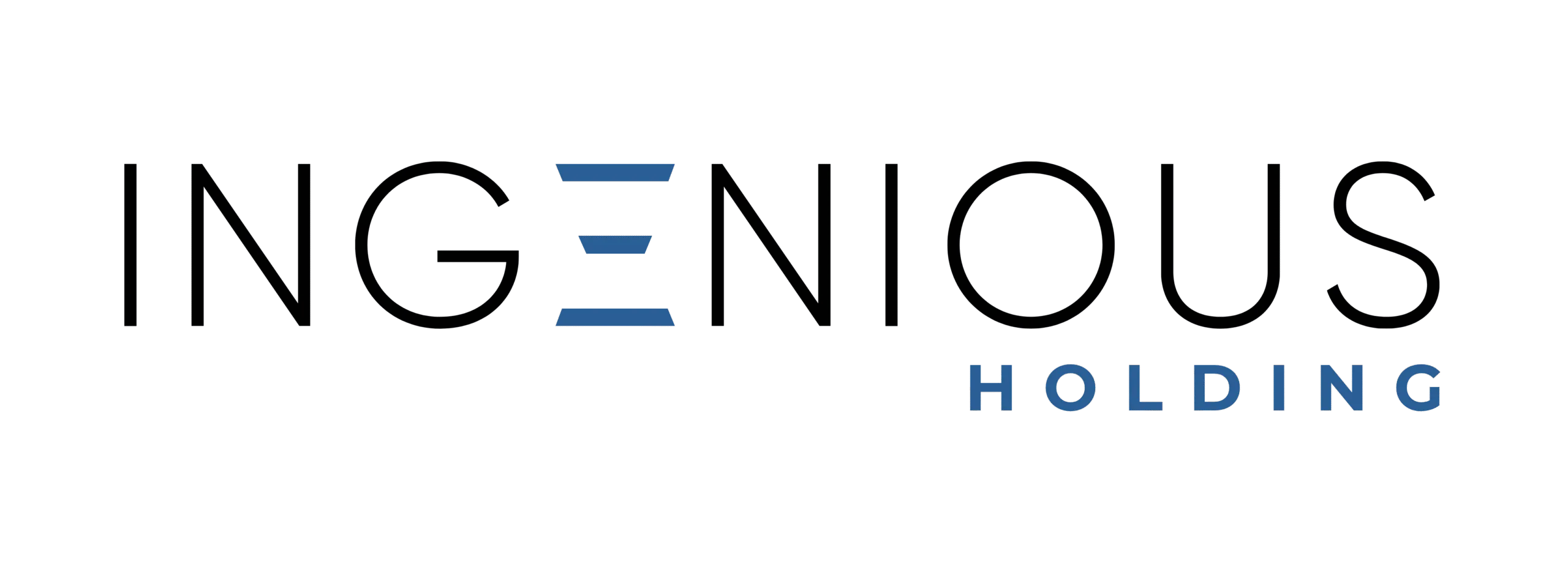 Area Interna Ingenious Holding